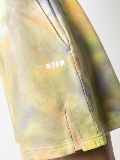 Shop Msgm Cotton Shorts In Multicolor