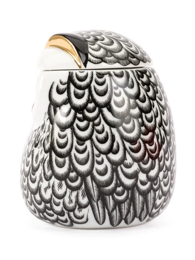 Fornasetti Jar Civetta Piumata In White