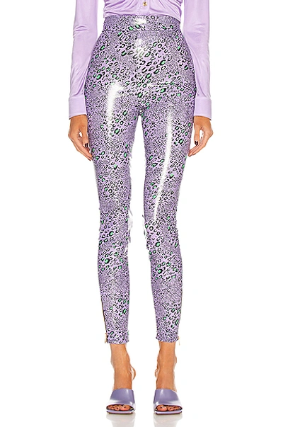 Shop Versace Skinny Legging In Lavender