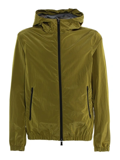 Shop Herno Jacket Opalescent In Yellow