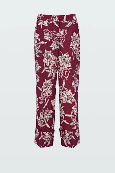 Shop Dorothee Schumacher Structured Florals Pants In Print