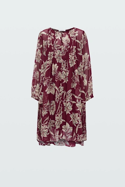 Shop Dorothee Schumacher Translucent Florals Dress In Print