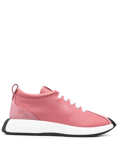 Shop Giuseppe Zanotti Low-top Lace-up Trainers In Pink