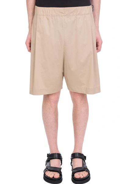 Shop Laneus Shorts In Beige Cotton