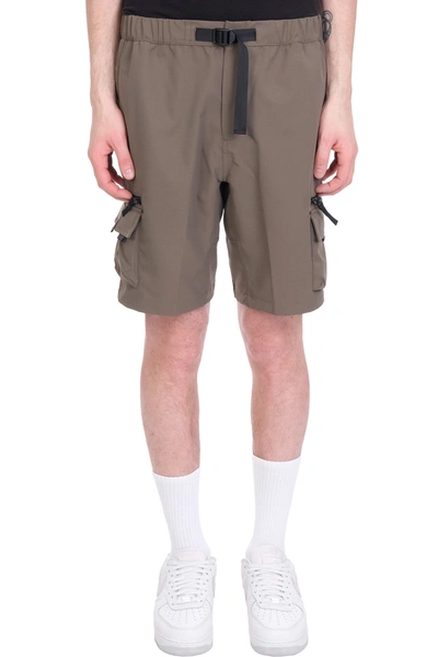 Shop Carhartt Shorts In Green Polyester