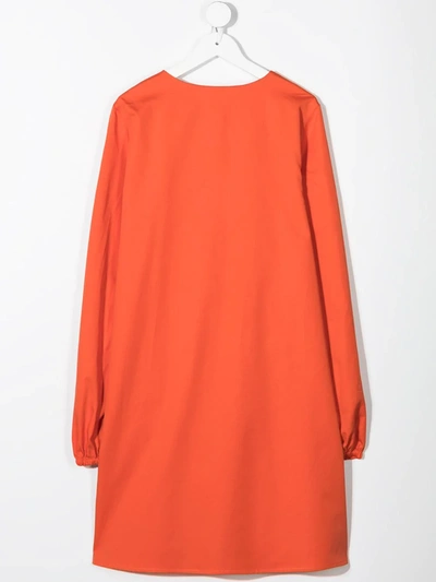 Shop Alberta Ferretti Embroidered Neck Tunic Dress In Orange