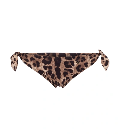 Shop Dolce & Gabbana Leopard-print Bikini Bottoms In Beige