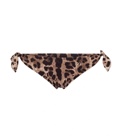 Dolce & Gabbana Bikini Bottom Brown Leopard Print Swimsuit Swimwear In Beige