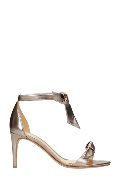 Shop Alexandre Birman Sandals In Platinum Leather