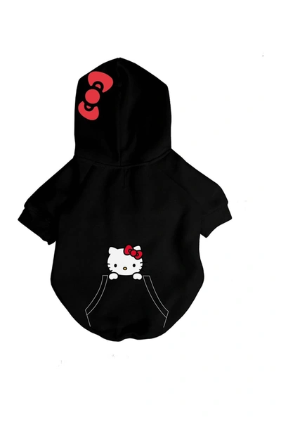 Shop Fresh Pawz Hello Kitty Embroidery Hoodie In Blk