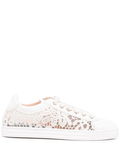 Shop Agl Attilio Giusti Leombruni Lace Low-top Sneakers In White