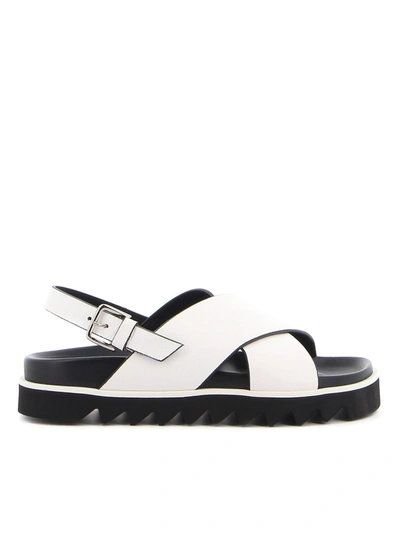Shop P.a.r.o.s.h Leather Sandals In White