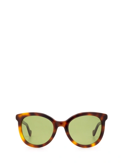 Shop Moncler Ml0119 Dark Havana Sunglasses
