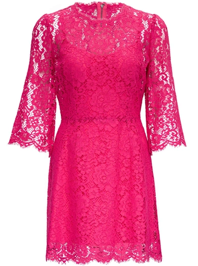 Shop Dolce & Gabbana Pink Lace Dress In Fuxia
