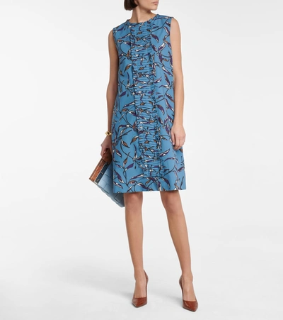 Shop Max Mara Nola Printed Cotton Minidress In Blue