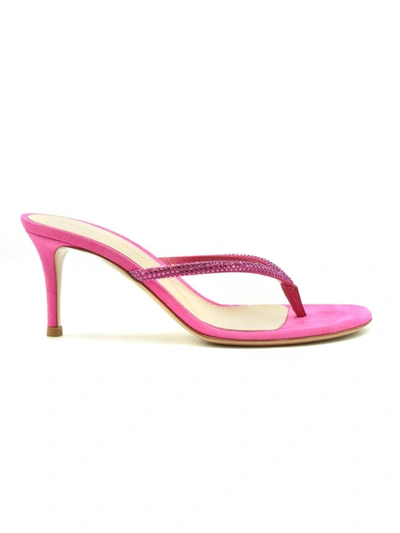 Shop Gianvito Rossi Fuchsia Leather Sandals In Pink