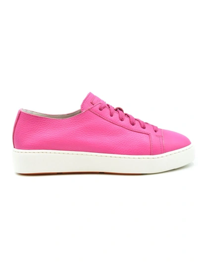 Shop Santoni Fuchsia Leather Sneakers In Pink