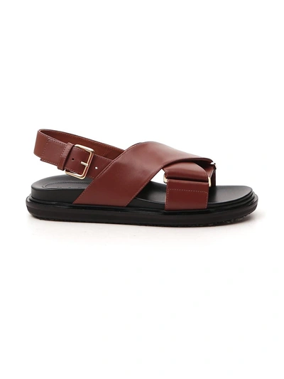 Shop Marni Brown Leather Sandals