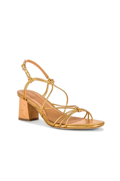 Shop Joie Malti Sandal In Brass