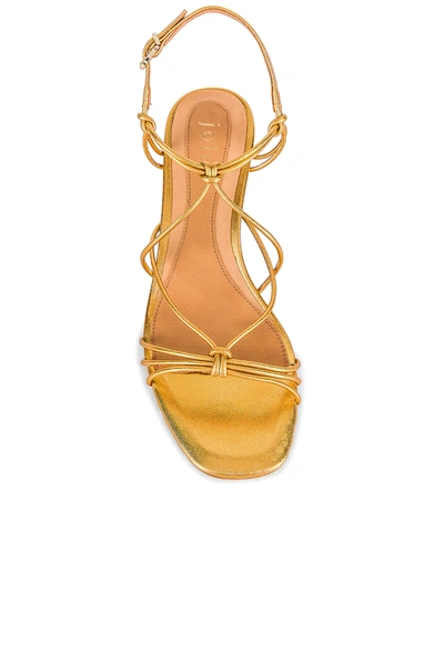 Shop Joie Malti Sandal In Brass