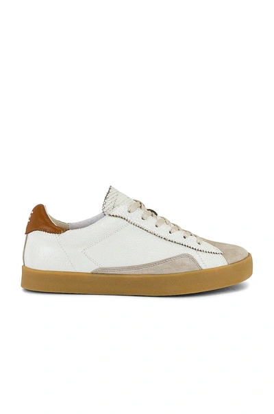 Shop Sam Edelman Prima Sneaker In Bright White & Greige & Ginger Brown