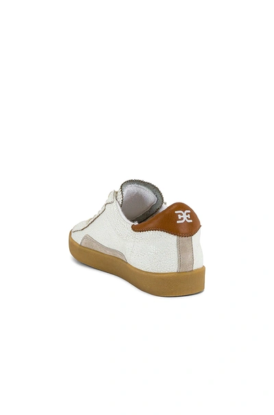 Shop Sam Edelman Prima Sneaker In Bright White & Greige & Ginger Brown