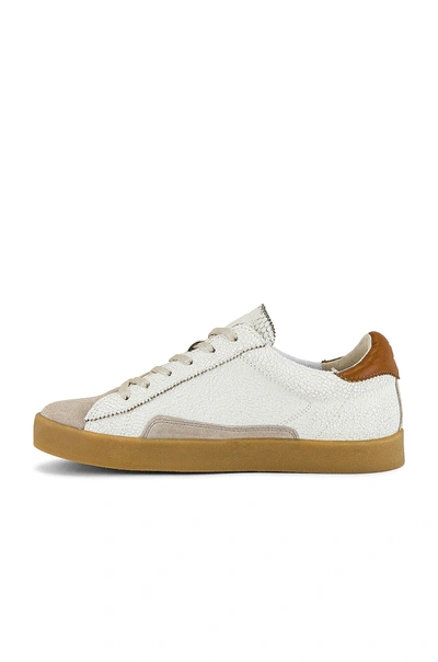 Shop Sam Edelman Prima Sneaker In Bright White & Greige & Ginger Brown