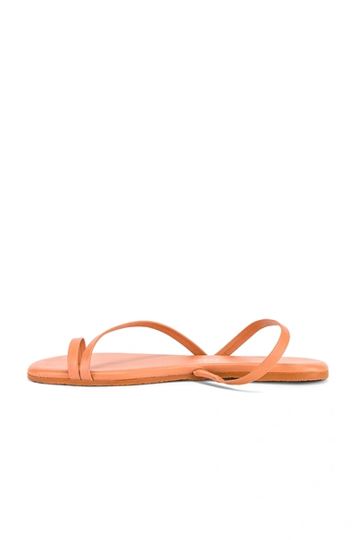 Shop Tkees Lc Sandal In Sienna-lc