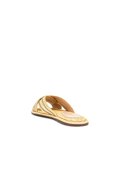 Shop Schutz Carlotta Slide In Palha