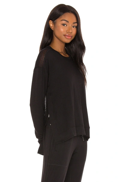 Shop Alala Heron Sweatshirt In Black