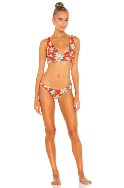 Shop Eberjey Calix Bikini Bottom In Spicy Orange