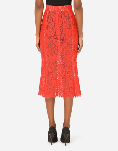 Shop Dolce & Gabbana Cordonetto Lace Midi Skirt