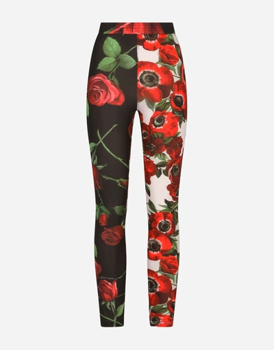 Shop Dolce & Gabbana Jersey Leggings With Anemone And Rose Print