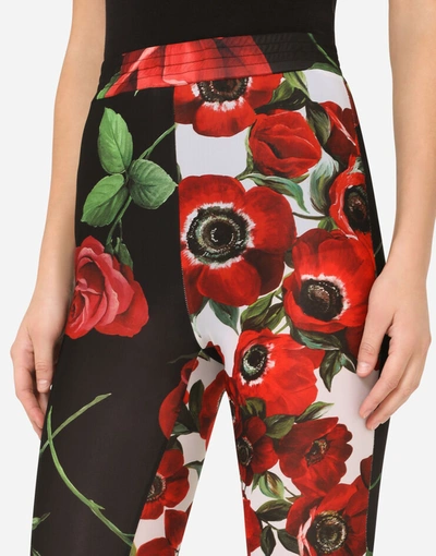 Shop Dolce & Gabbana Jersey Leggings With Anemone And Rose Print