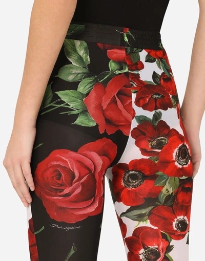 Shop Dolce & Gabbana Jersey Leggings With Anemone And Rose Print