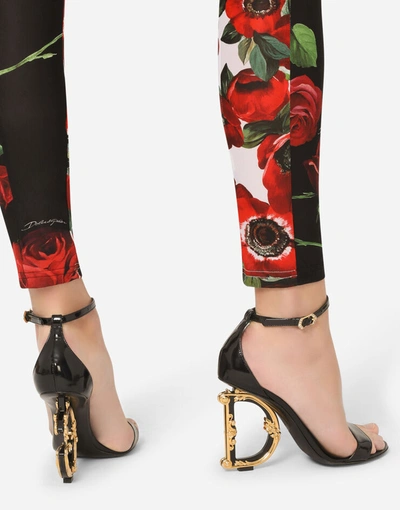 Shop Dolce & Gabbana Jersey Leggings With Anemone And Rose Print