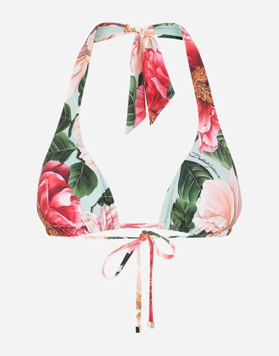 Shop Dolce & Gabbana Camellia-print Padded Triangle Bikini Top