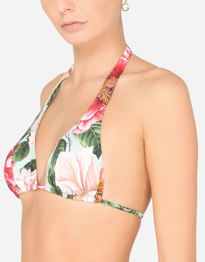 Shop Dolce & Gabbana Camellia-print Padded Triangle Bikini Top