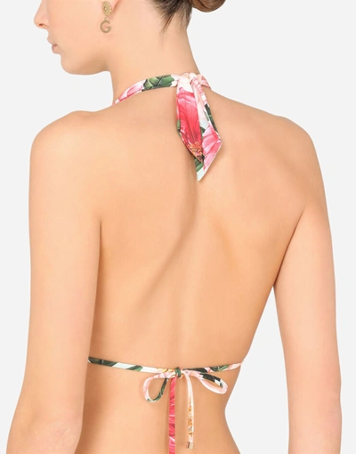Shop Dolce & Gabbana Camellia-print Padded Triangle Bikini Top