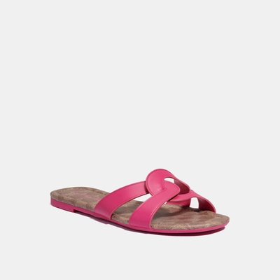 Shop Coach Essie Sandal In Bold Pink