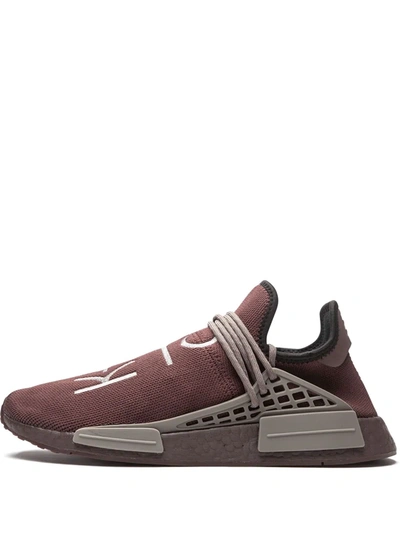 Shop Adidas Originals X Pharrell Human Race Nmd "chocolate" Sneakers In Brown