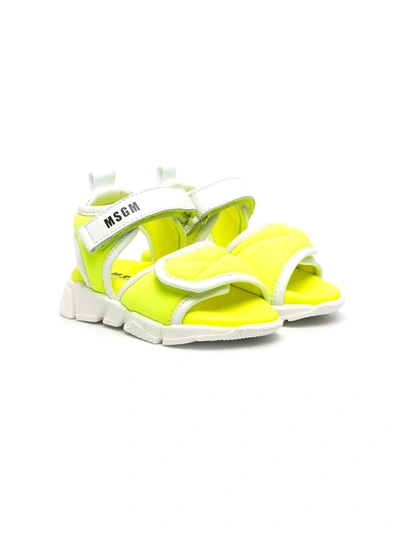 Shop Msgm Chunky Logo-print Sandals In Yellow