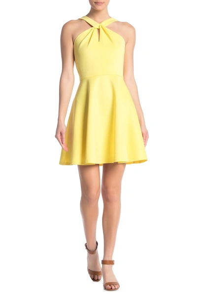 Ted baker freeda dress sale