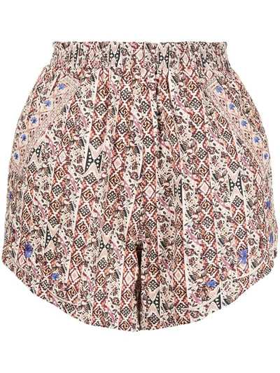 Shop Nicole Miller Partridge Stripe Embroidered Shorts In Brown