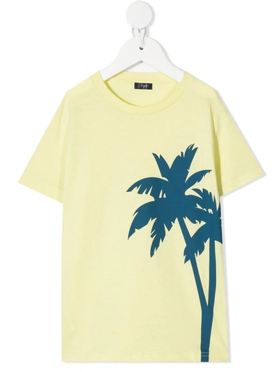 Il Gufo Palm Tree-print Cotton T-shirt In Yellow