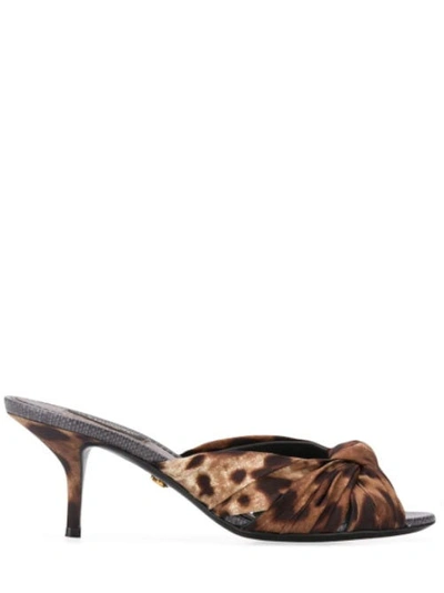 Shop Dolce & Gabbana Leopard Print Sliders In Twill In Brown