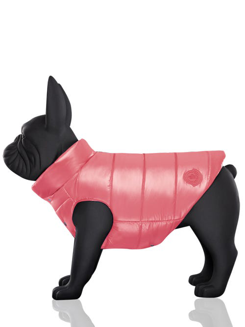 moncler dog jacket