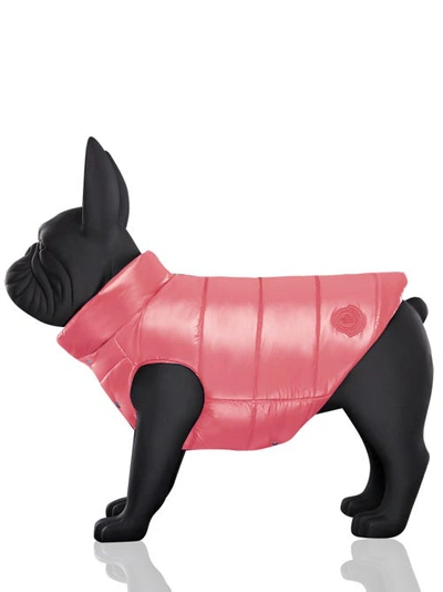 Moncler - Poldo Dog Couture Mondog Vest In Pink | ModeSens
