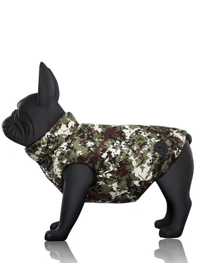 Moncler - Poldo Dog Couture Mondog Vest In Multicolor | ModeSens