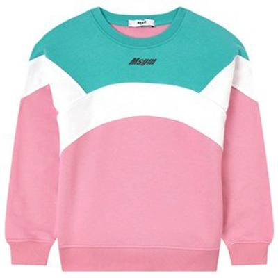 Shop Msgm Pink Logo Sweatshirt
